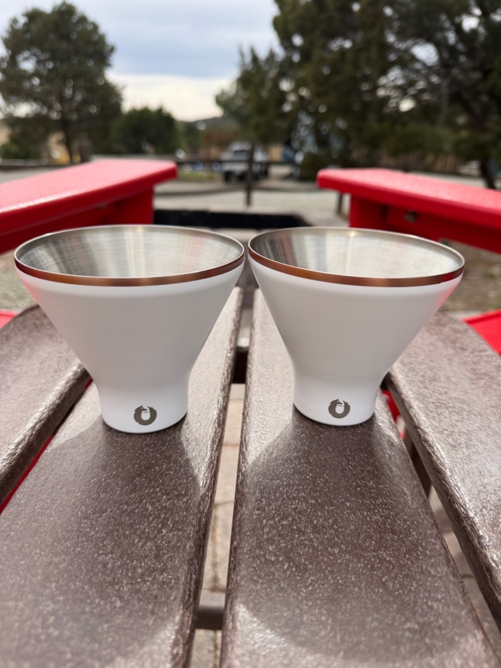 Snowfox White Copper-Rimmed Stainless Steel Tumblers - Set of 2